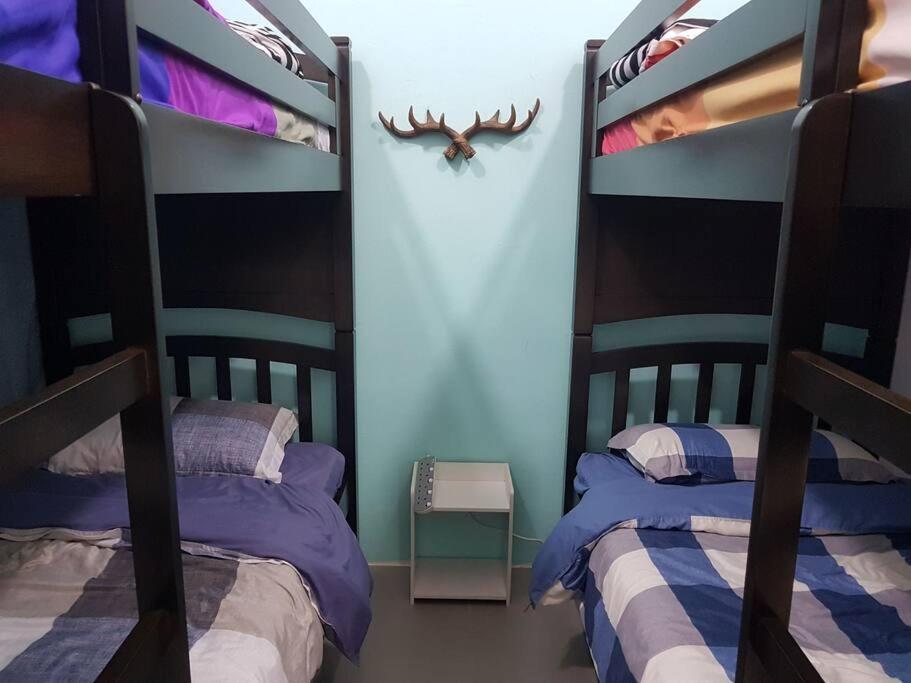 Wingsnest Cameron Town Night Market High Speed Wi-Fi Tanah Rata Luaran gambar